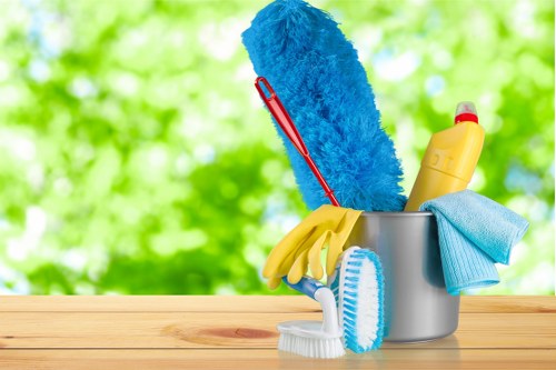 Professional carpet cleaning in Anerley for a fresher home