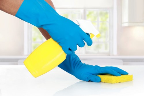 Mattress cleaning in Anerley with a fresh bedroom environment