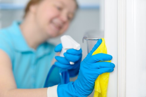 Professional pet stain odour removal in Anerley on carpet