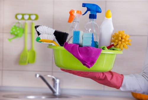 Cleaning pet stains and smells from upholstery in Anerley