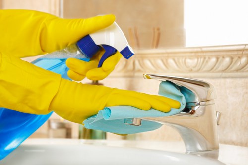 Professional steam carpet cleaning in Anerley for fresh home carpets