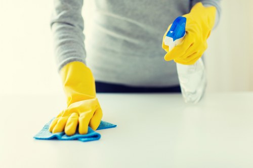 Anerley carpet cleaning service treating a pet stain on carpet