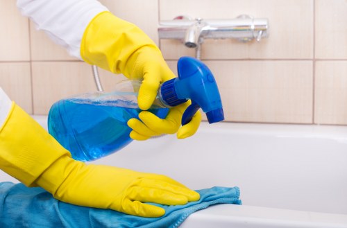 Carpet and sofa stain cleaning in Anerley homes