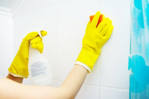 Odour neutralisation for pet stains in Anerley property