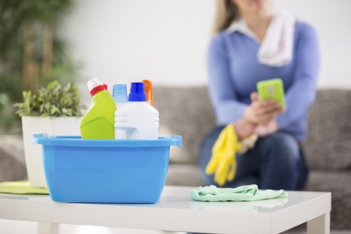 Professional carpet cleaning in Anerley removing deep dirt and stains