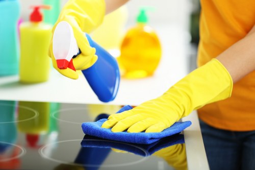 Mattress and fabric stain removal services in Anerley