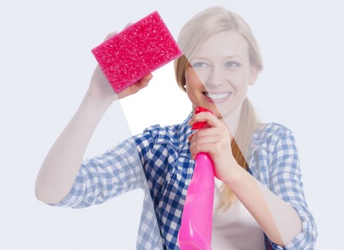 Supplier audit and compliance review in a carpet cleaning business