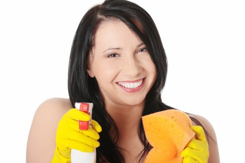 Deep treatment for old pet urine odour in Anerley home
