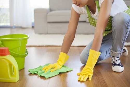 Deep carpet cleaning service in Anerley for a busy home interior